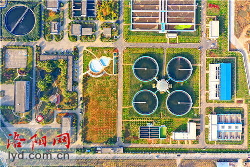 洛陽(yáng)新區(qū)污水處理廠(chǎng)二期擴(kuò)建工程綠化完工