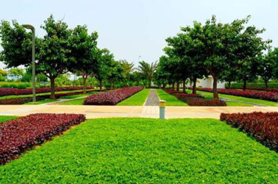 綠滿(mǎn)邕城 南寧園林綠化、庭院美化與專(zhuān)業(yè)工程服務(wù)的全方位解析